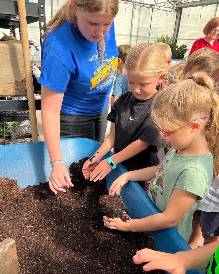 students dig in dirt