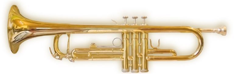 Trumpet Horn Tute